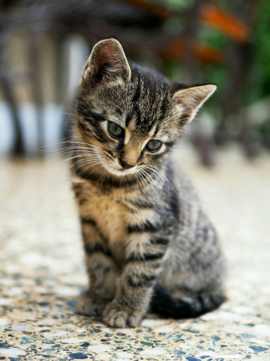 Is_USA_Defense_System_Will_Become_Defenseless_Without_REE.png Is_USA_Defense_System_Will_Become_Defenseless_Without_REE.png